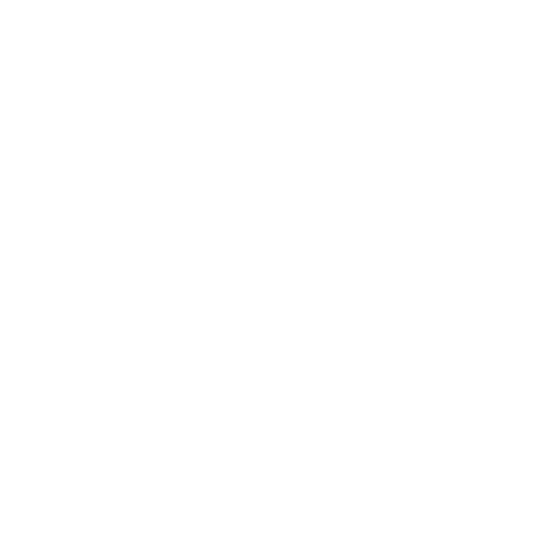 Safety Inspection Icon